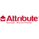 ATTRIBUTE ATTRIBUTE
